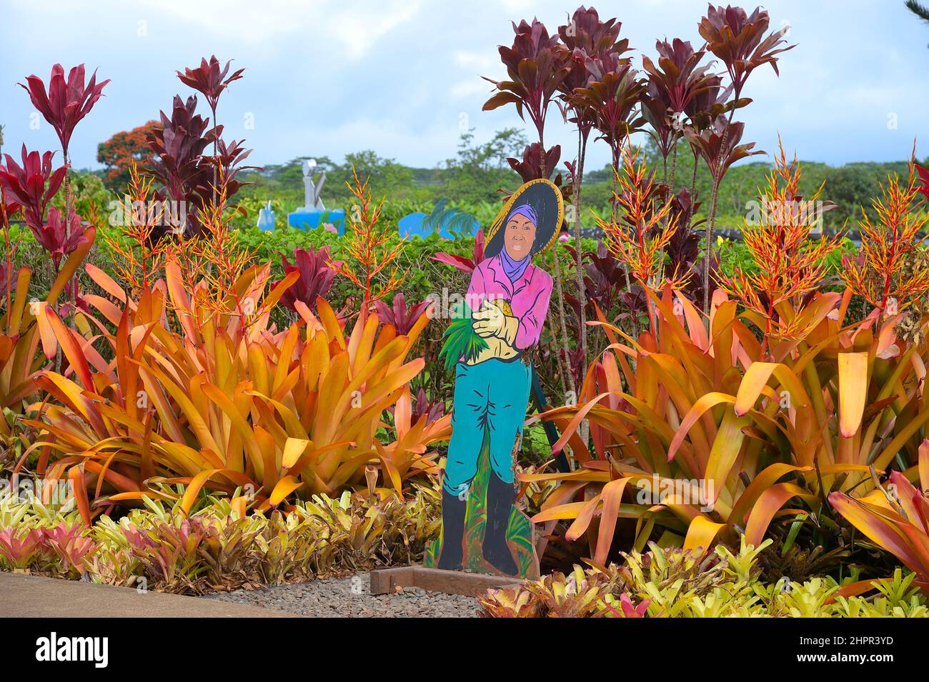 The historic Dole pineapple plantation in Wahiawa, Oahu HI Stock Photo