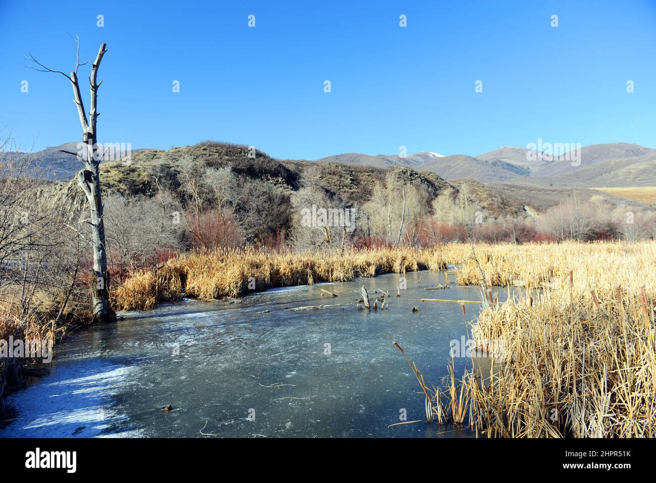 Scenic Rock Cliff nature center by the Provo river in Kamas, Utah, USA. Stock Photo
