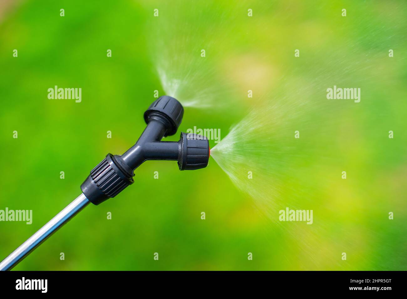 Farmer spraying vegetable green plants in the garden with herbicides, pesticides or insecticides. Stock Photo