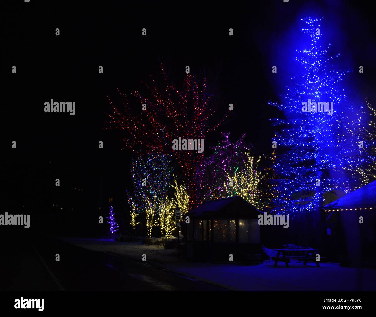 Christmas decorations- Illuminated trees in Park City , Utah Stock Photo