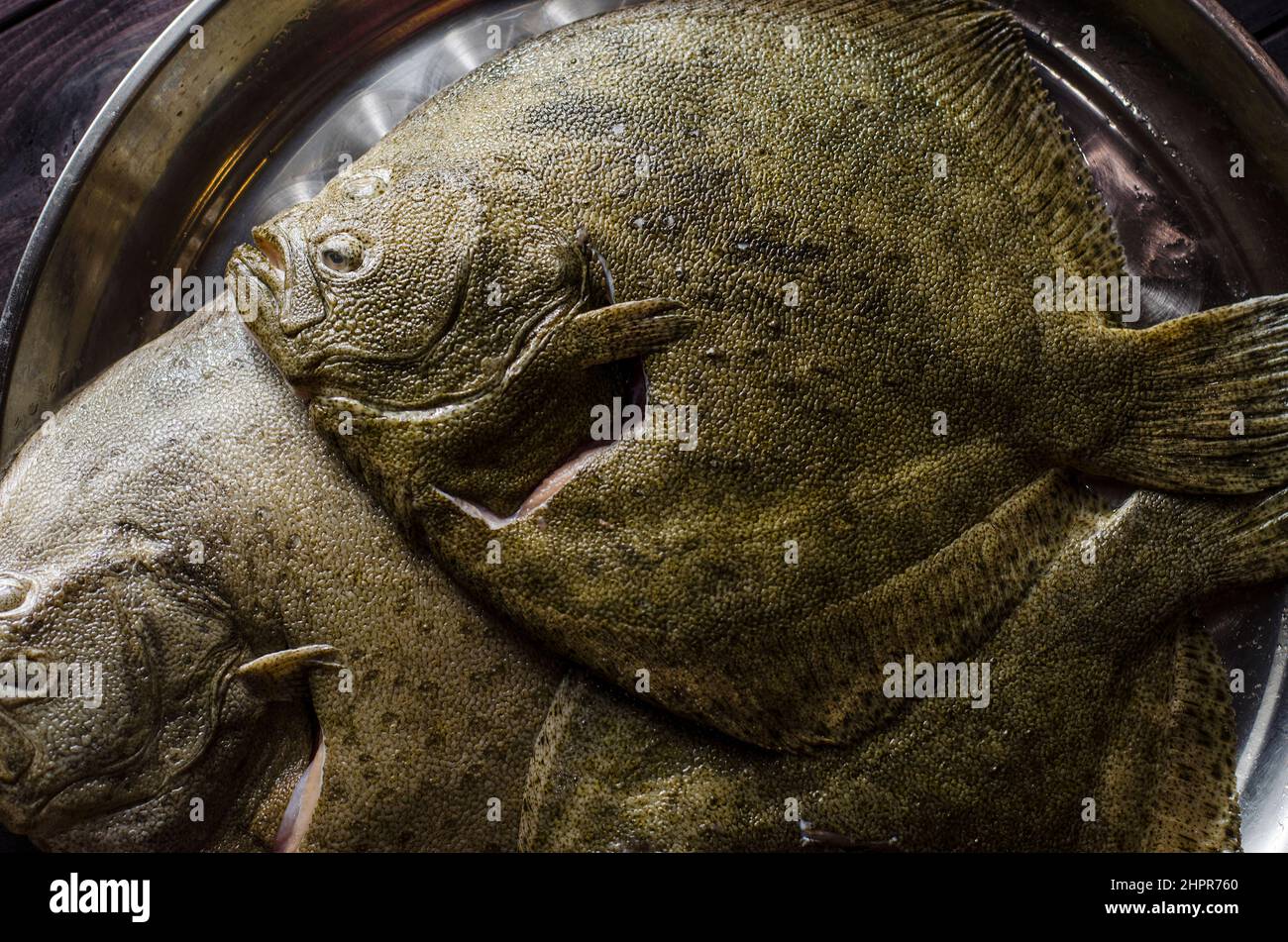 raw cleaned whole flounder fish ready for cooking Stock Photo Alamy