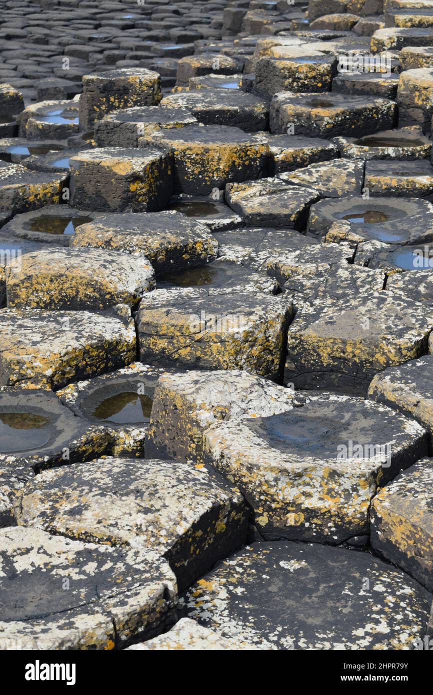 Giant's Causeway background. Typical basalt columns close up. Water and sun. Northern Ireland. Stock Photo