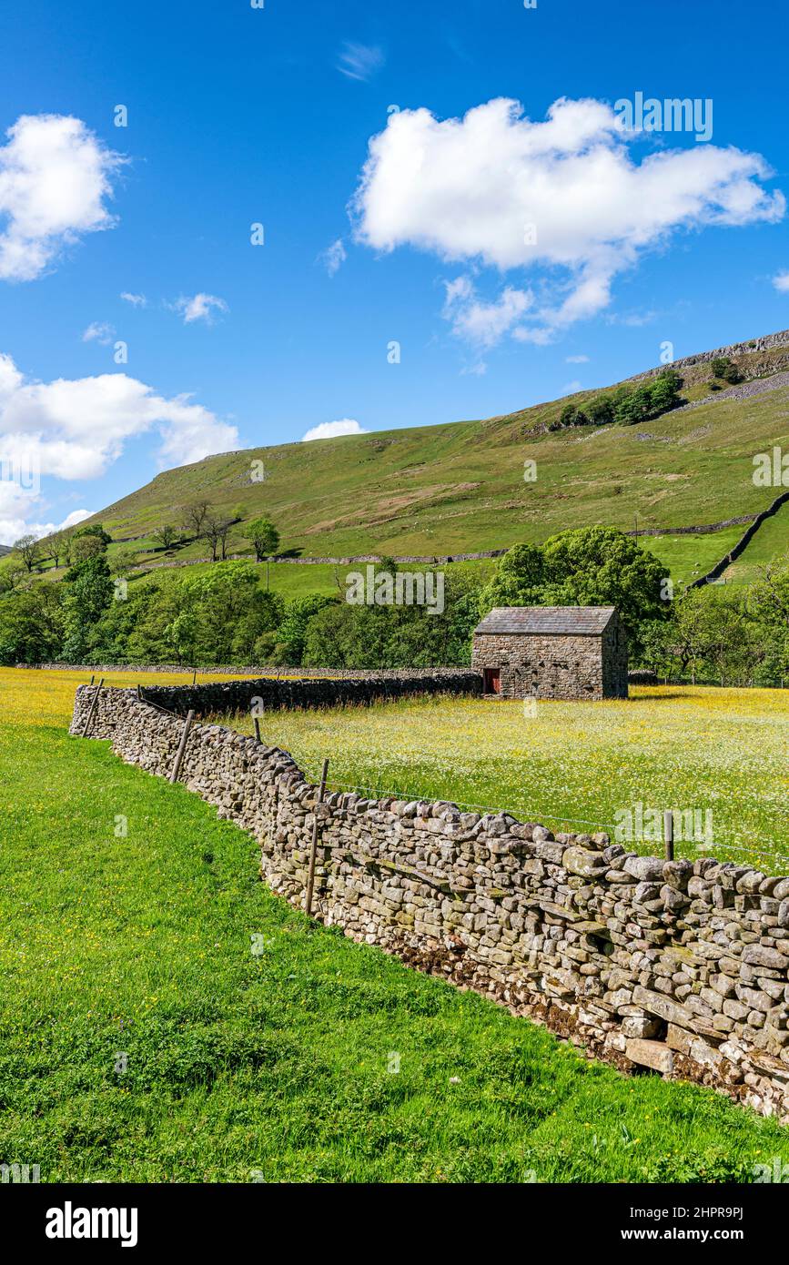 Wild flower meadows at Muker in Swaledale Stock Photo