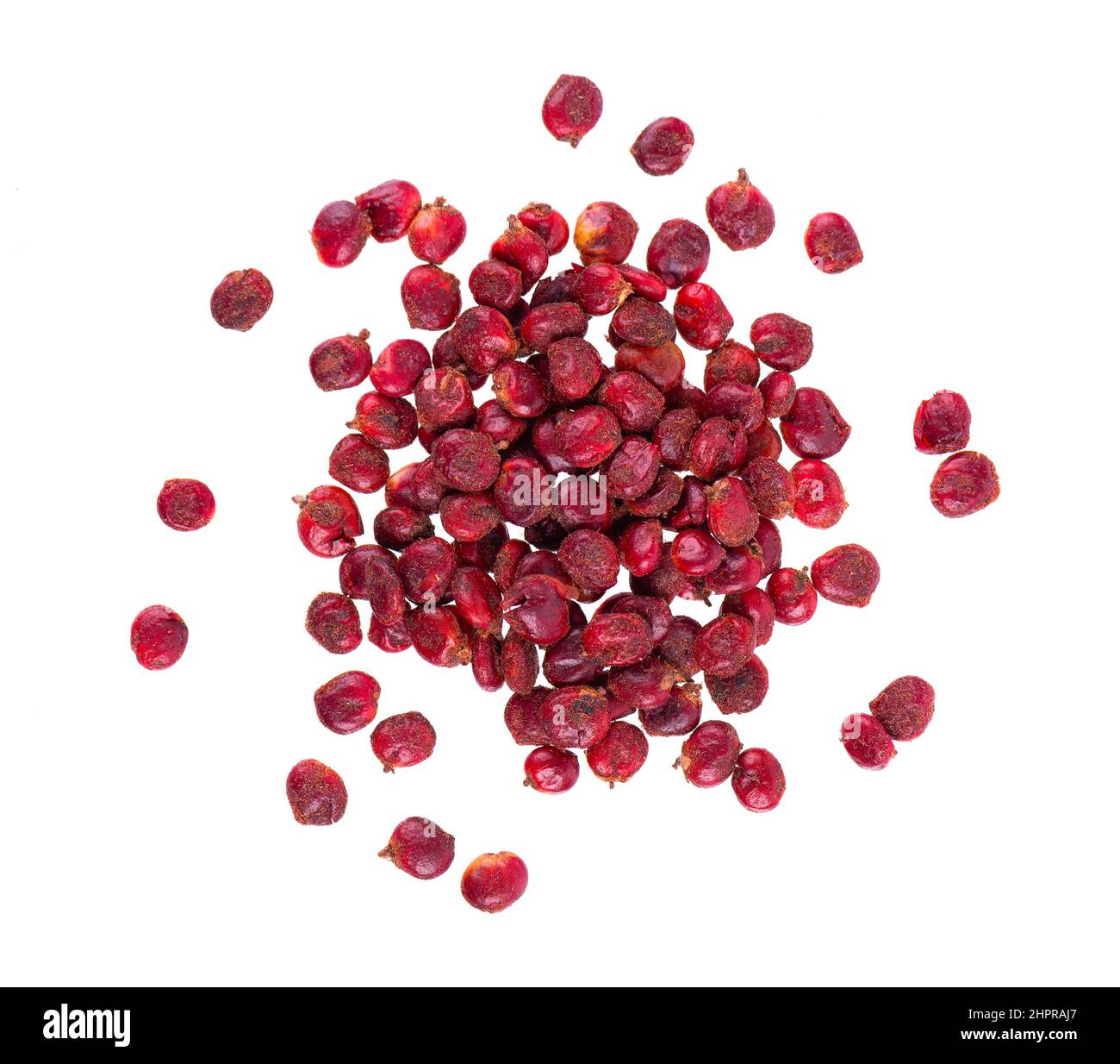 Sumac seeds isolated on white background. Whole dry Rhus berry. Top