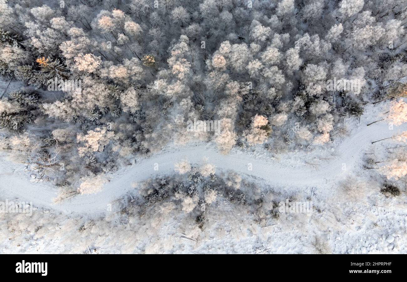 Drone view of a winter snow-covered pine forest and frozen lake Stock ...