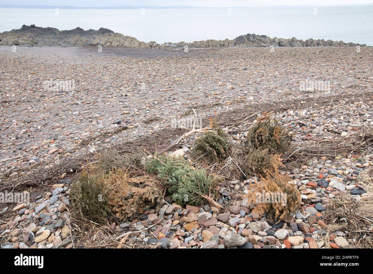 Flata Weather Christmas 2022 Edinburgh, 23Rd February 2022. Weather In Edinburgh. Scotland. An Advert  Has Been Blown Caused By Windy. Pic Credit: Pako Mera/Alamy Live News Stock  Photo - Alamy