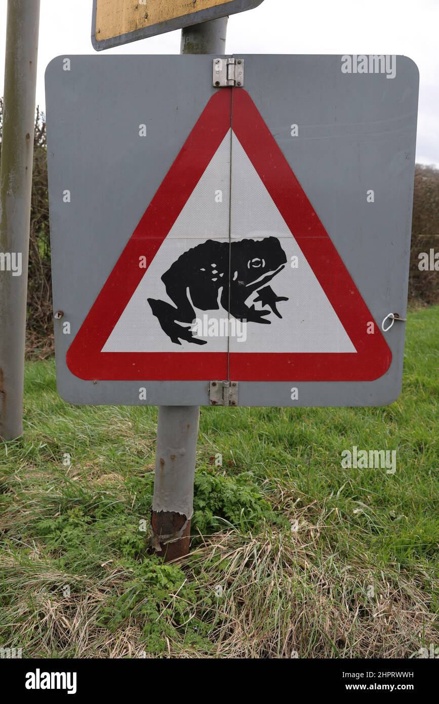 Toads ahead road warning sign hi-res stock photography and images - Alamy