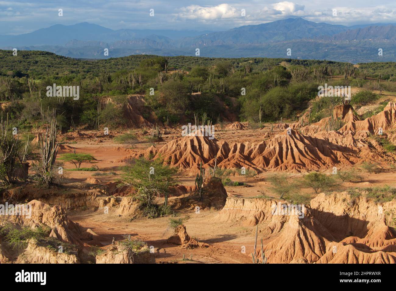 The extraordinary colors of the Tatacoa desert, Colombia Stock Photo
