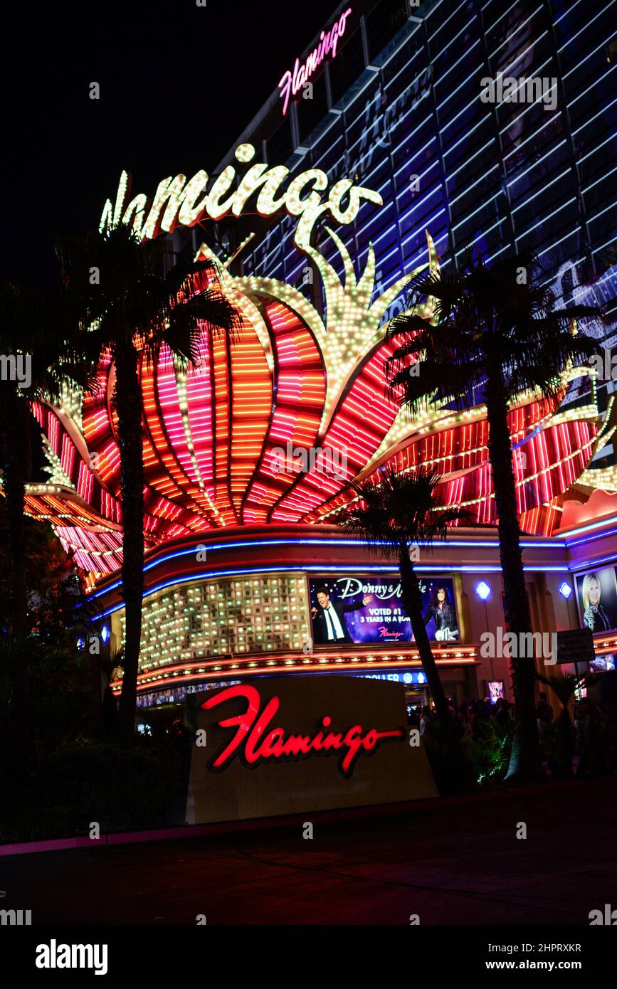 Flamingo Hotel at night, Las Vegas, Nevada Stock Photo