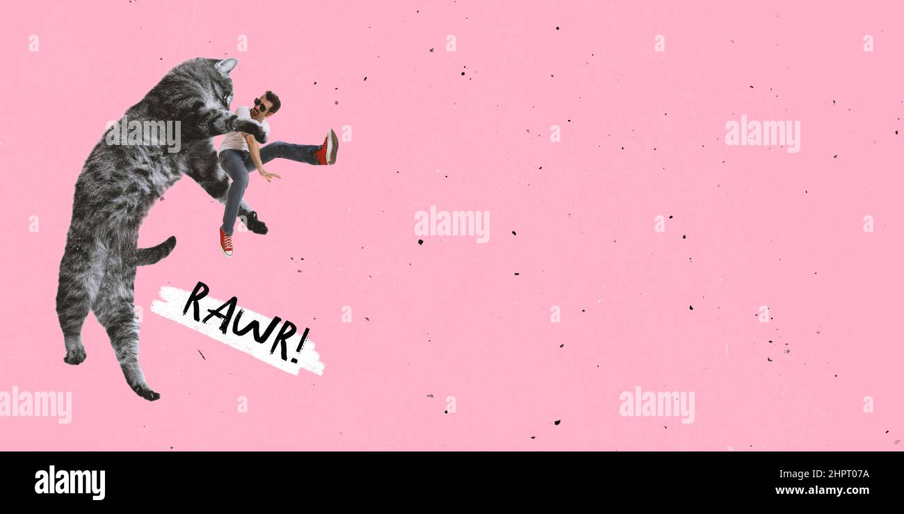 Contemporary art collage. Gian cute cat catching man isolated over pink ...