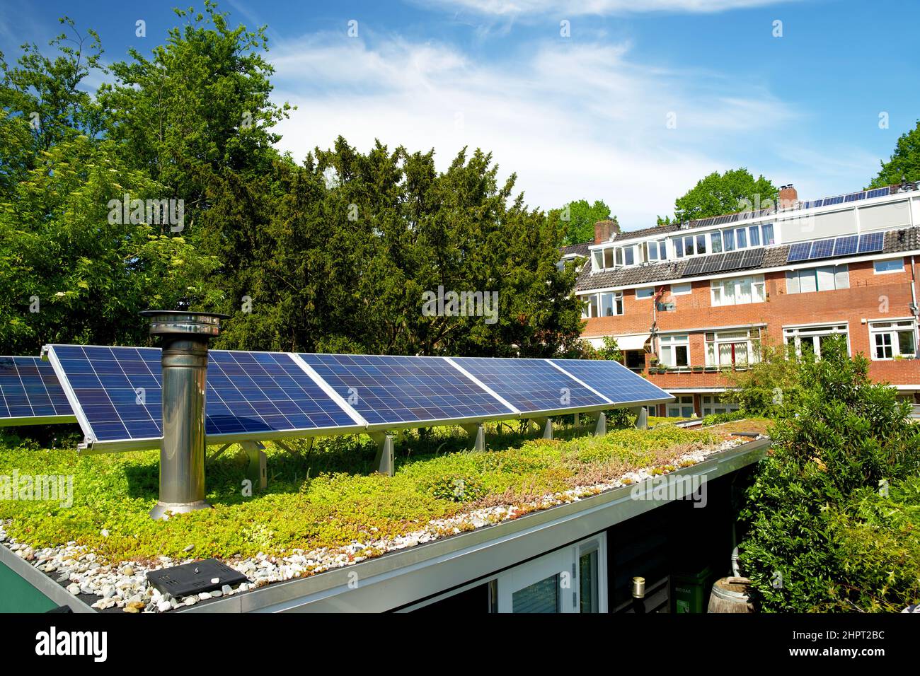 Solar panels on a green rooftop garden with flowering sedum plants Stock Photo