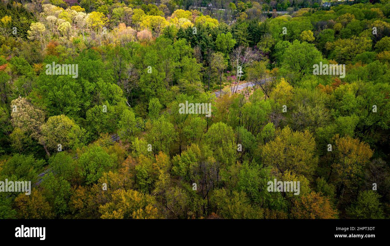 Aerial View of Springtime Trees With a Single Old Railroad Track Going ...
