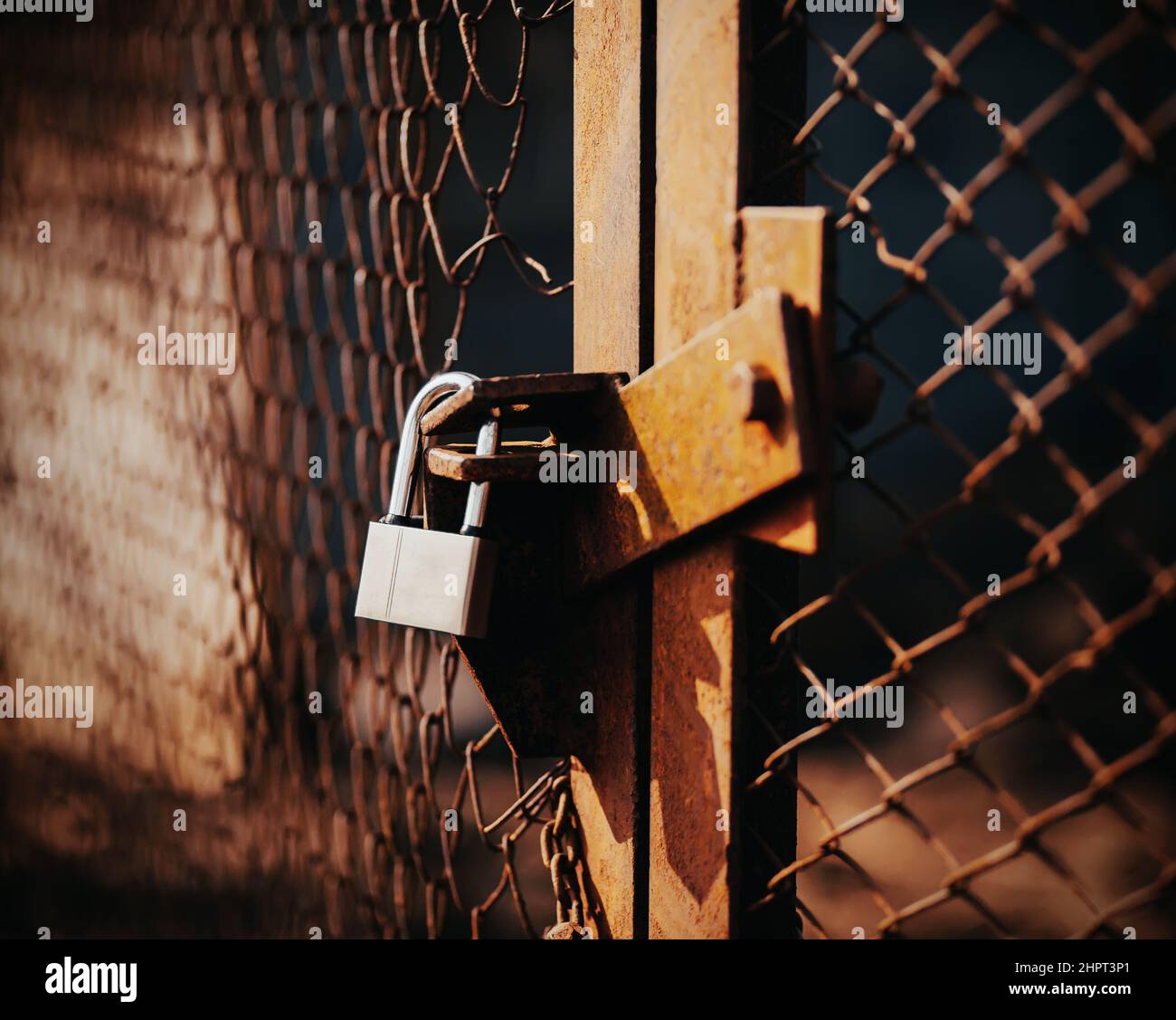 A lock hangs on the old rusty mesh broken gate, closing them, illuminated by sunlight. Abandoned territory. Stock Photo