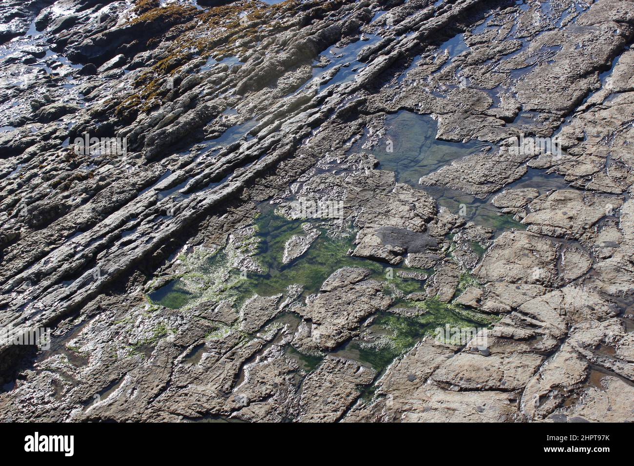 Pismo Beach Tide Pools, California Stock Photo Alamy