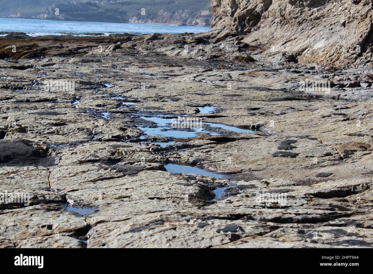 Pismo Beach Tide Pools, California Stock Photo Alamy