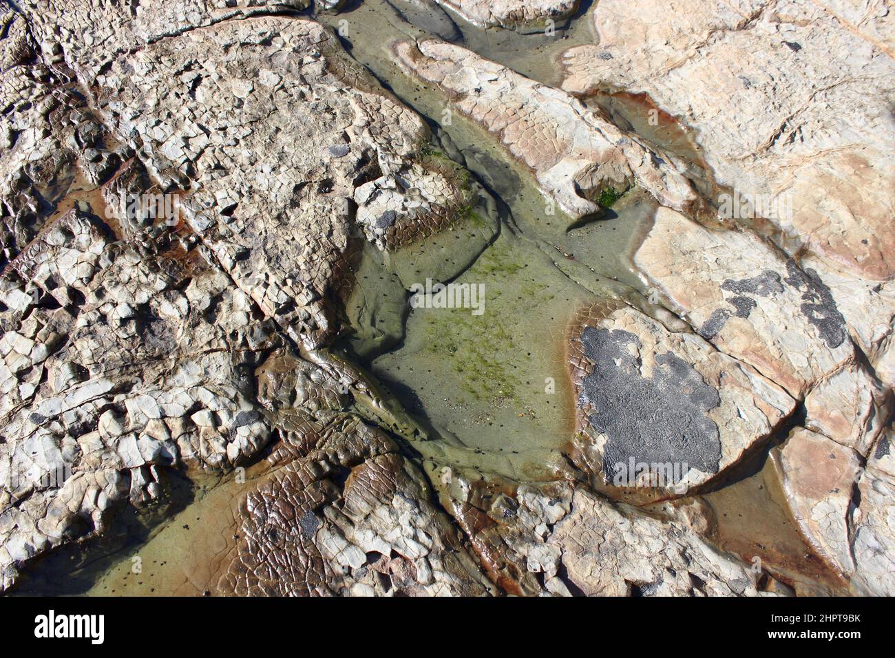 Pismo Beach Tide Pools, California Stock Photo Alamy