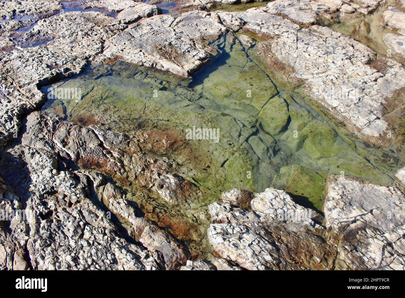Pismo Beach Tide Pools, California Stock Photo Alamy