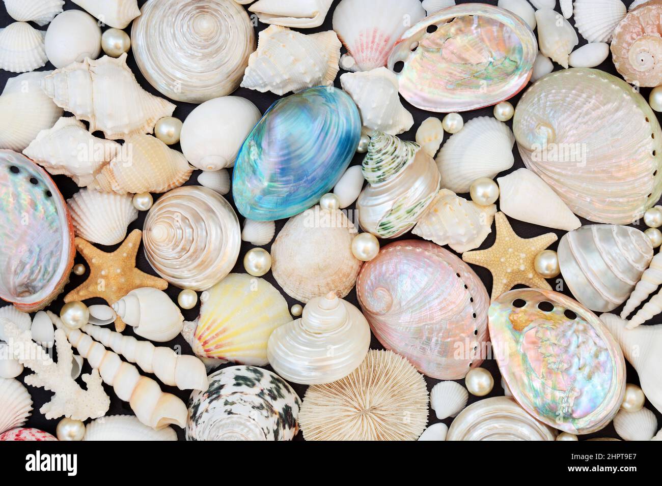 Oyster Pearl Wallpapers