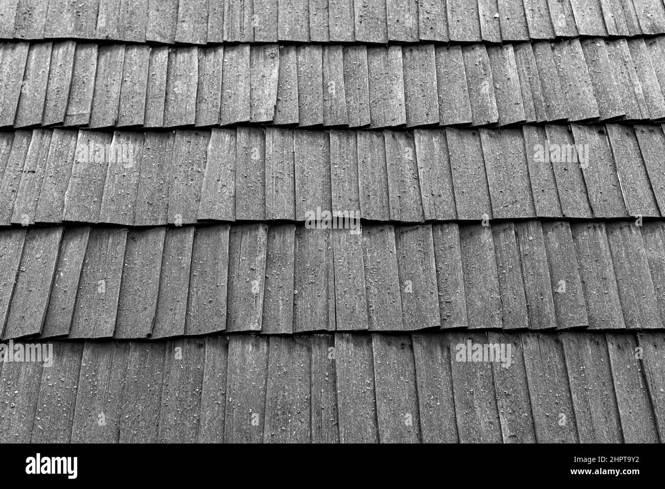 Horizontal view of wooden roof. Stock Photo