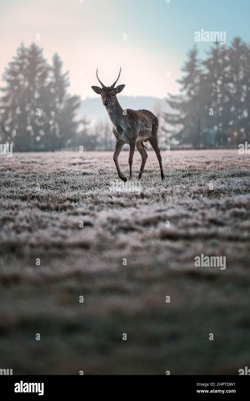 300dpi hi-res stock photography and images - Alamy