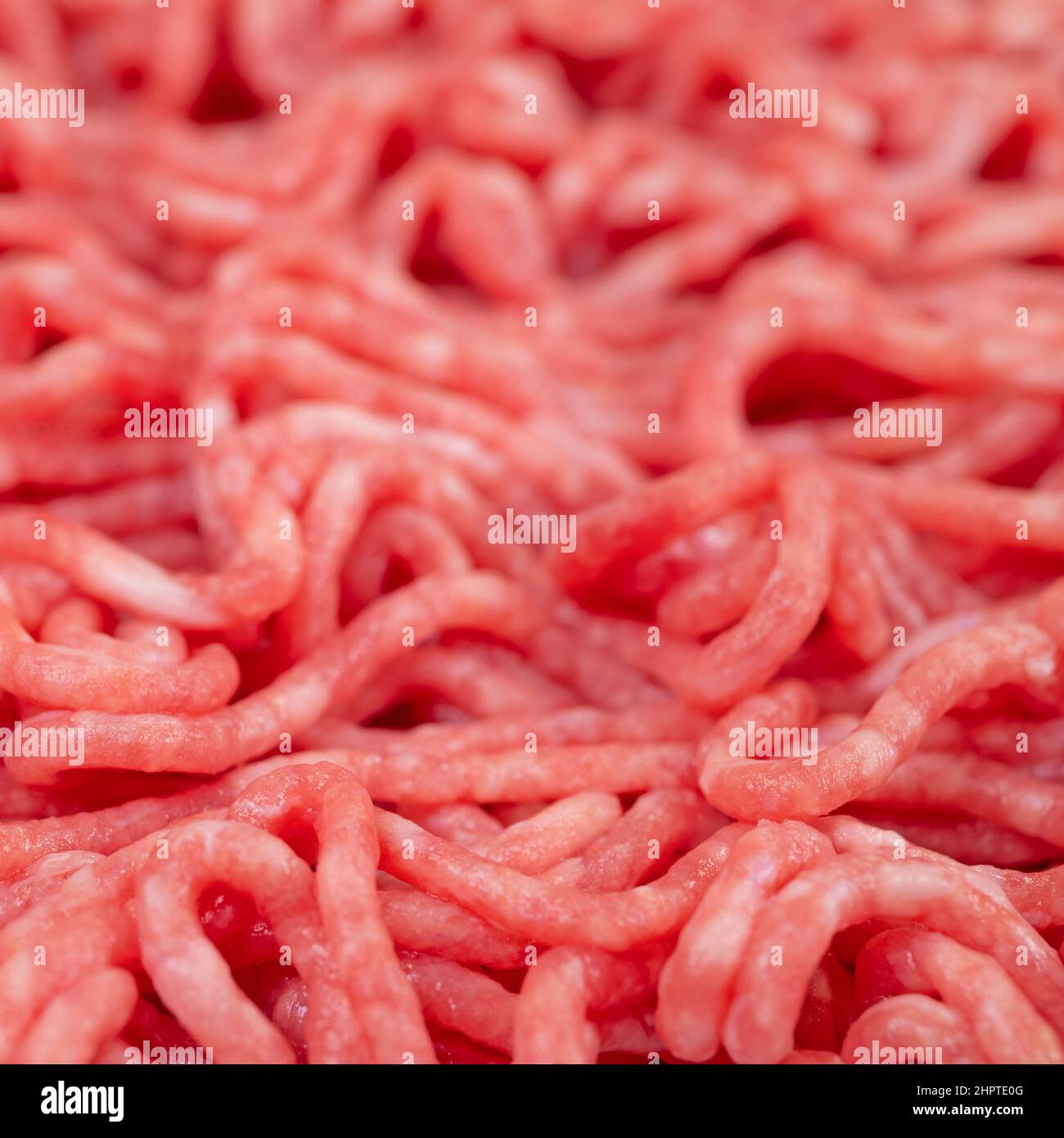 Raw minced meat in a close-up Stock Photo