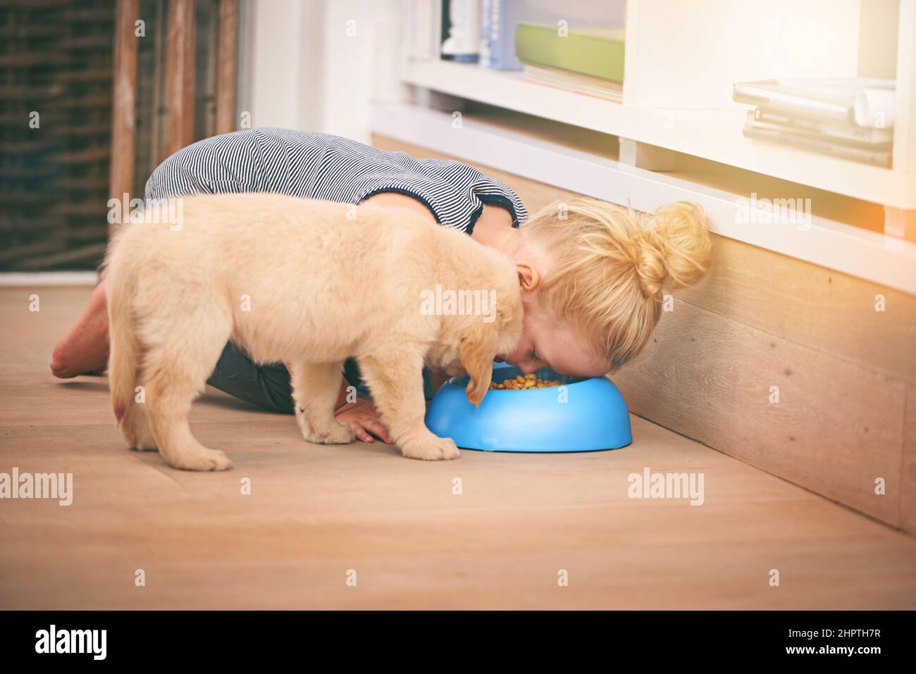 Little girl bowl dog food hi res stock photography and images Alamy