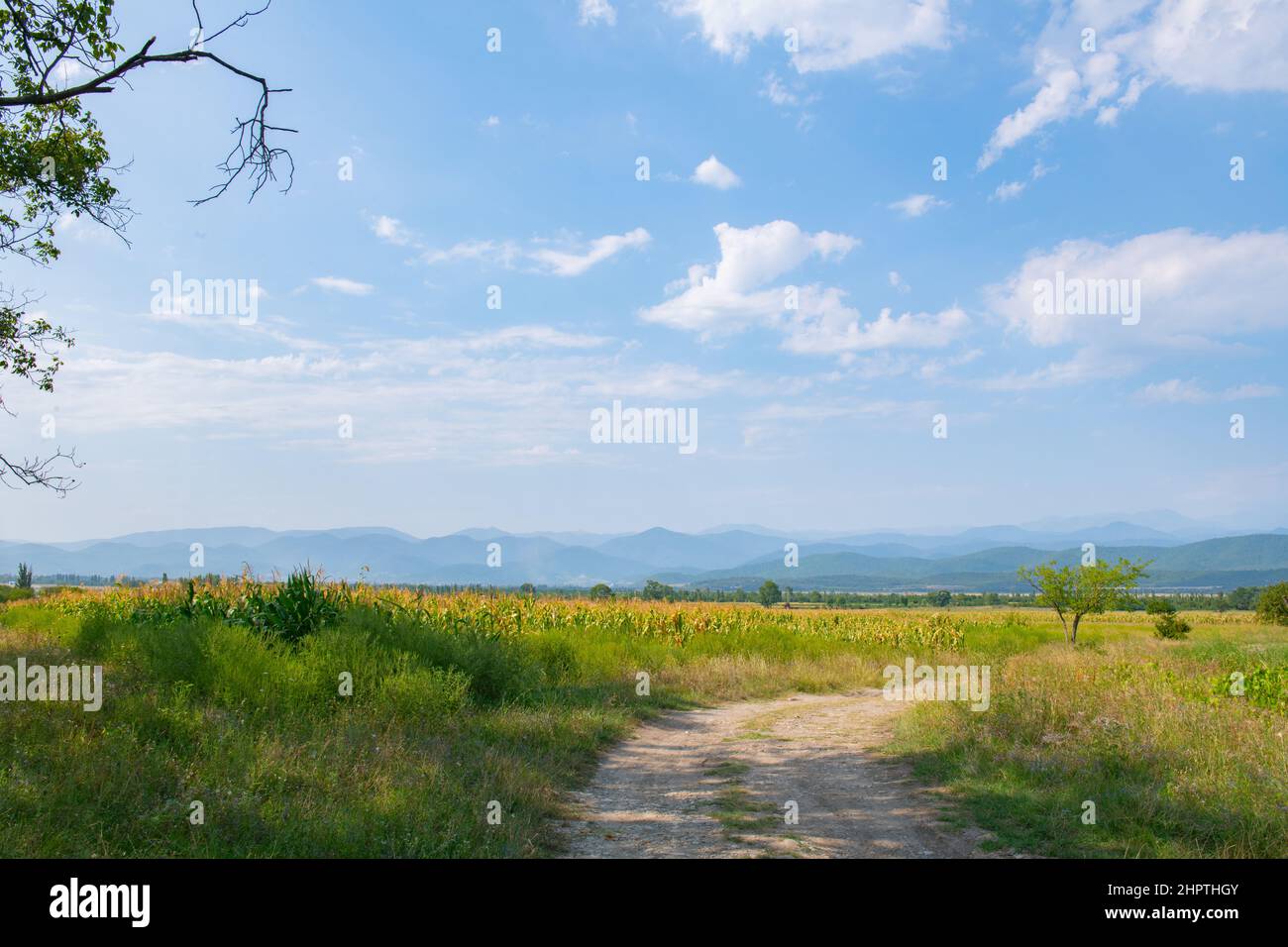 Country road through blossom hi-res stock photography and images - Alamy