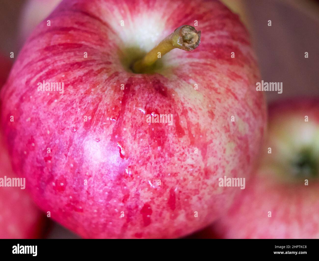 Ripe gala apples, a closeup shot. Apples whose peel is covered with