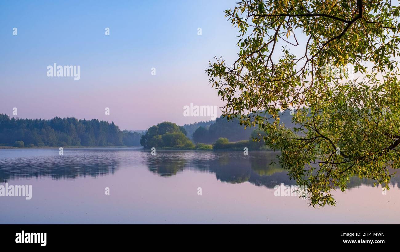 A serene summer dawn on the lake. Beautiful soft colors Stock Photo