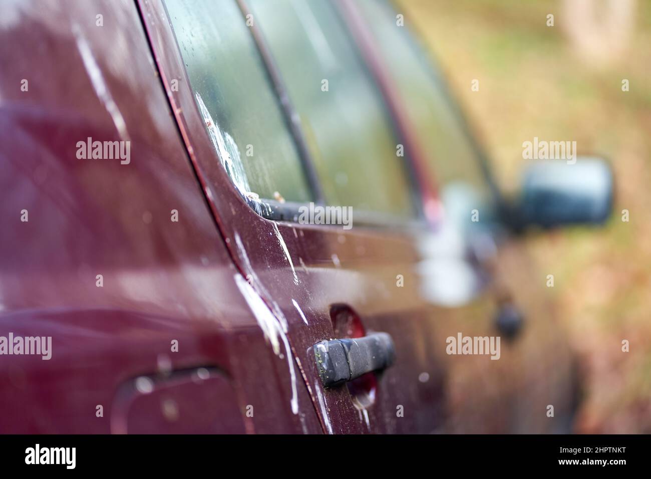 Bird droppings (Vogelkot) on vehicle. Feces from animals cause damage