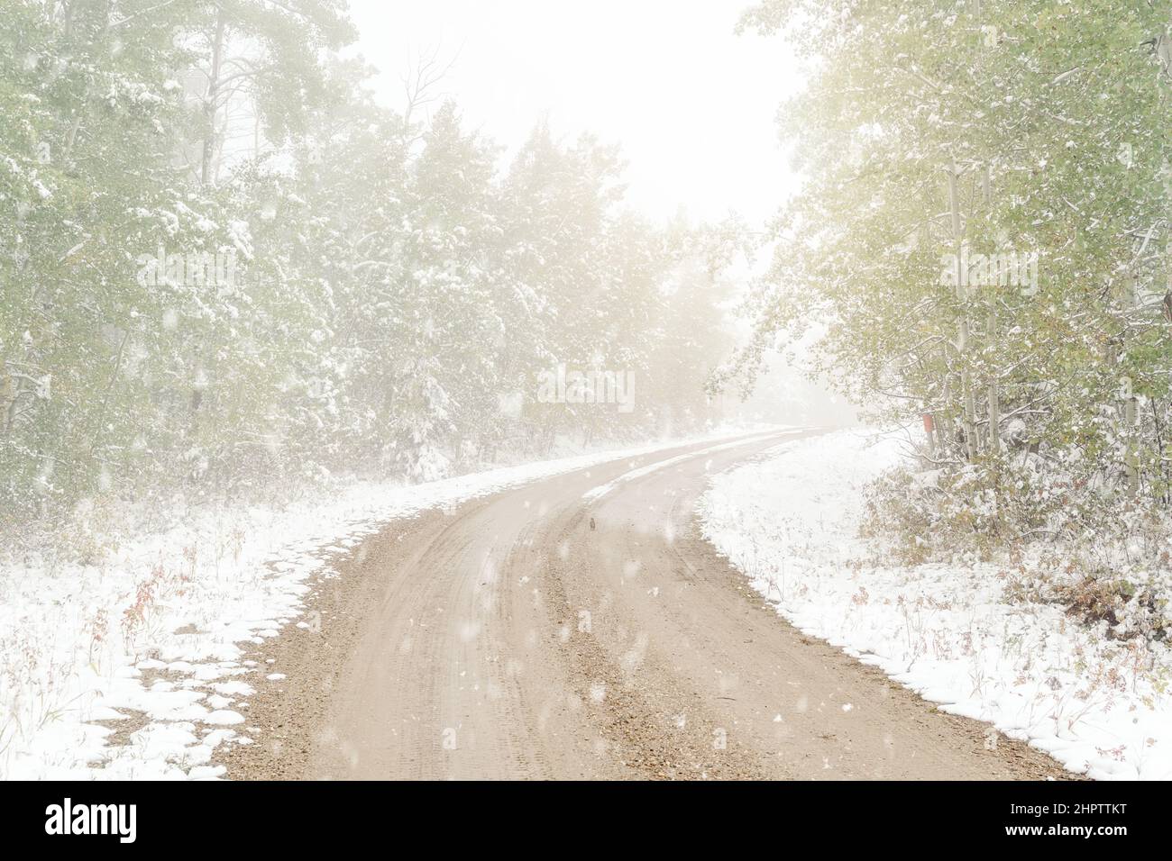 Early snowfall on a rural northern road. Stock Photo