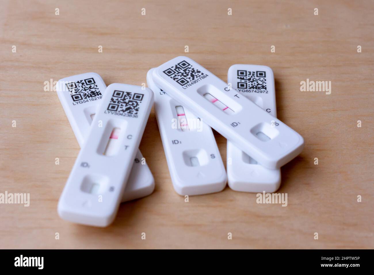 Positive and negative Covid-19, Sars-coV-2 lateral flow test results. Stock Photo