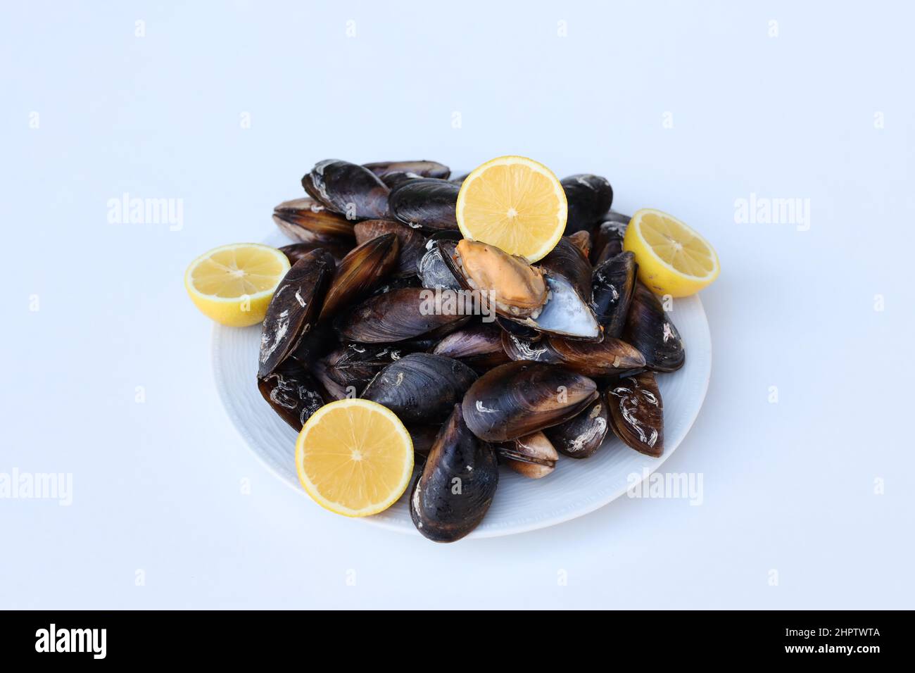 mussel Stock Photo