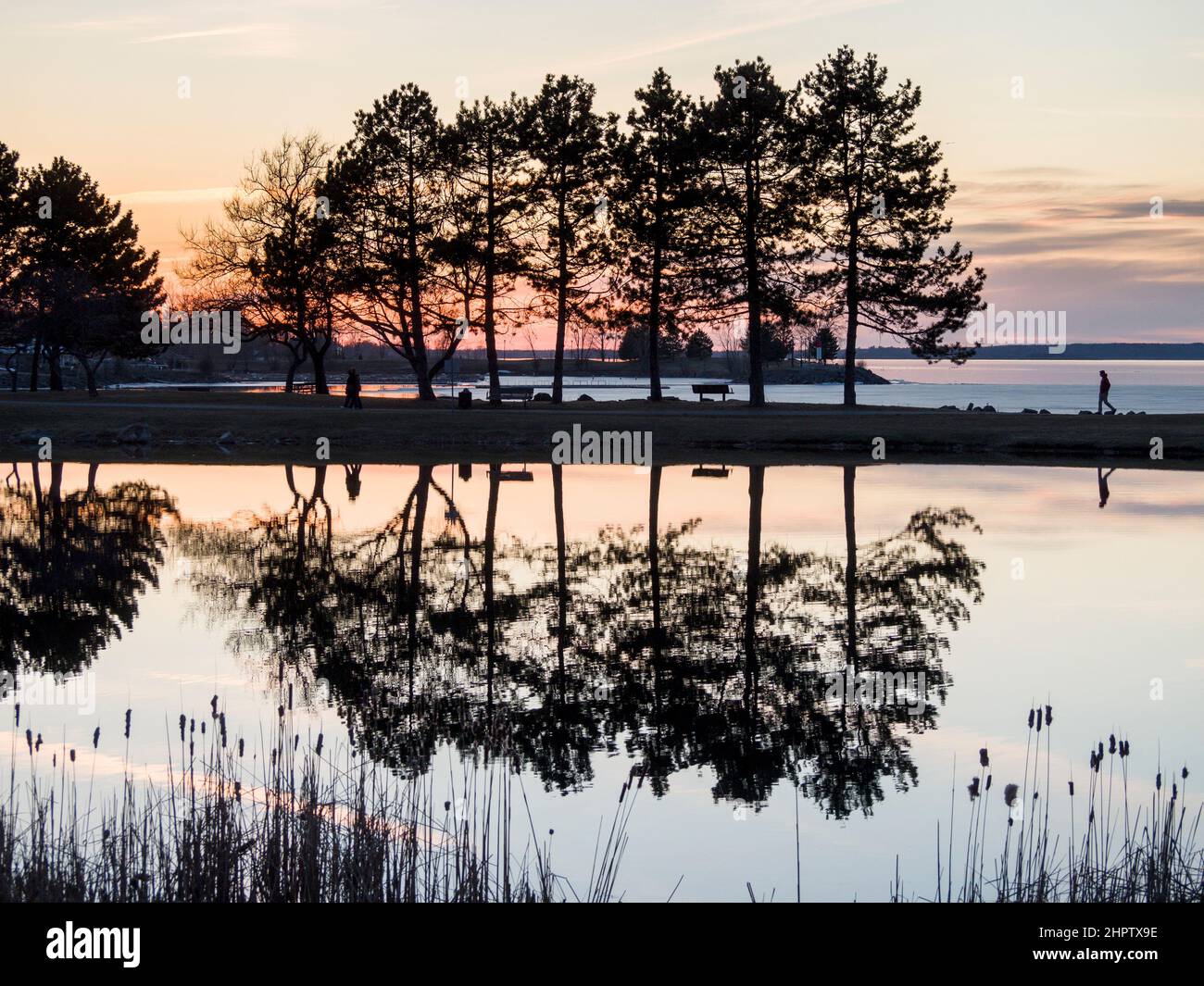 Sunset in the Park: Park goers walk by a row of trees reflected in a pond as the sun sets on an early spring day. Stock Photo