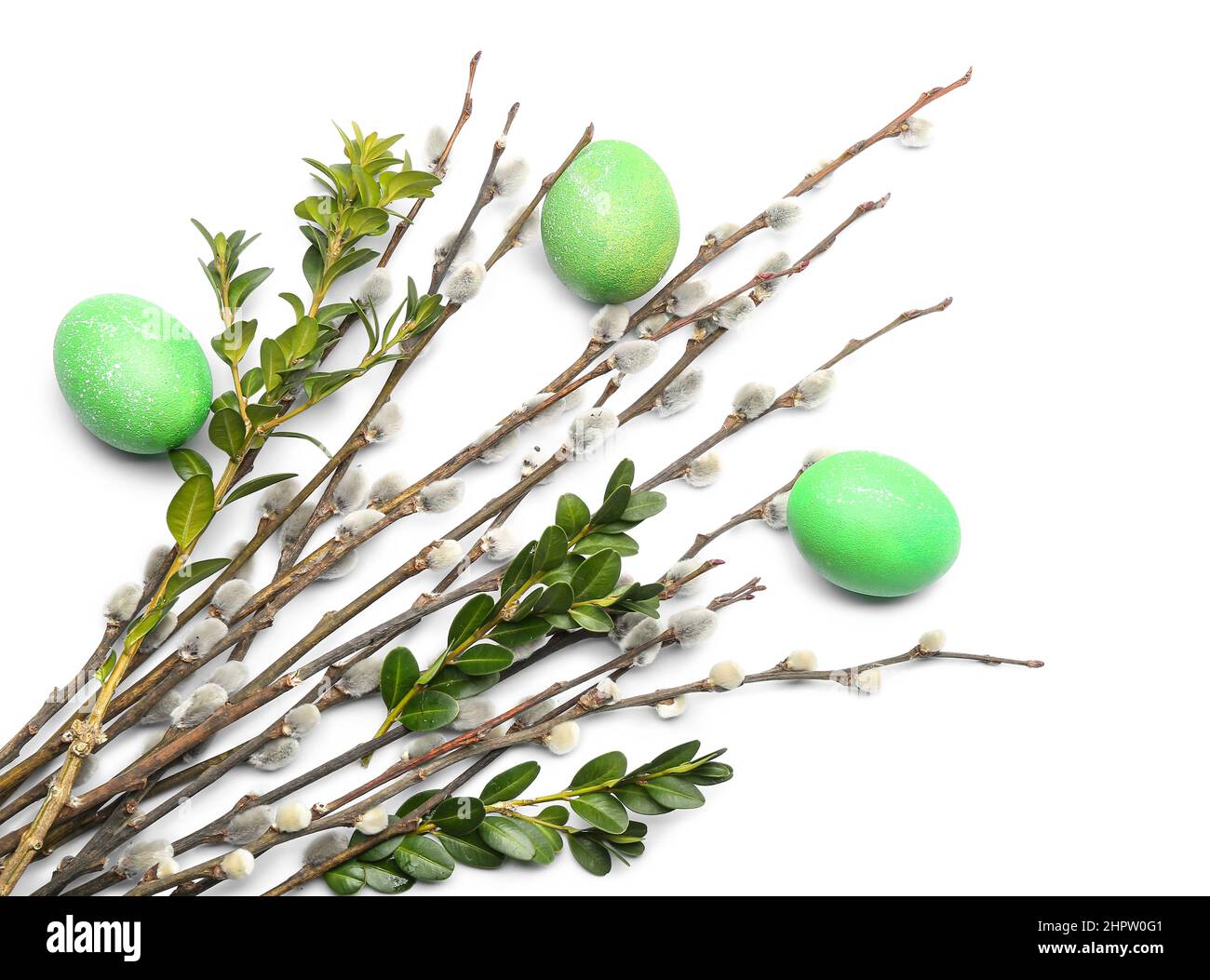 Painted Easter eggs and pussy willow branches on white background Stock ...
