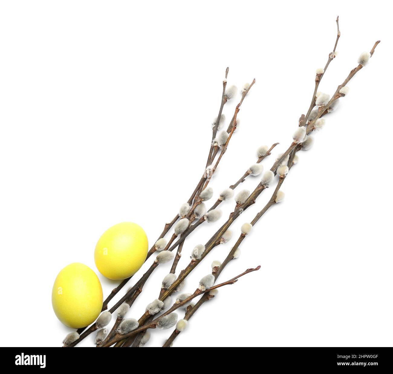 Painted Easter eggs and pussy willow branches on white background Stock ...