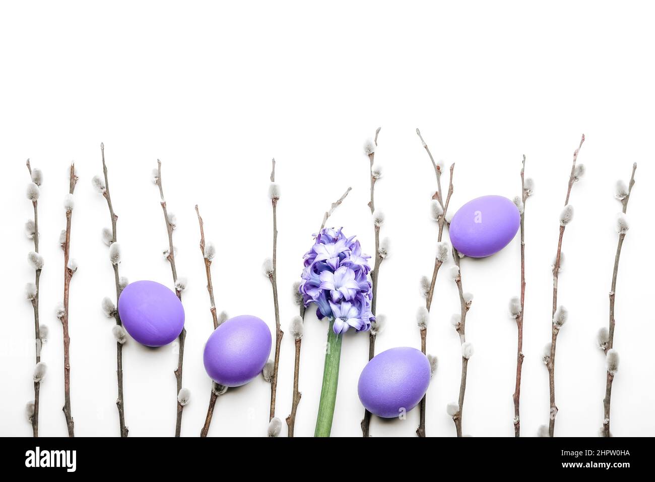 Painted Easter eggs, hyacinth flower and pussy willow branches on white ...