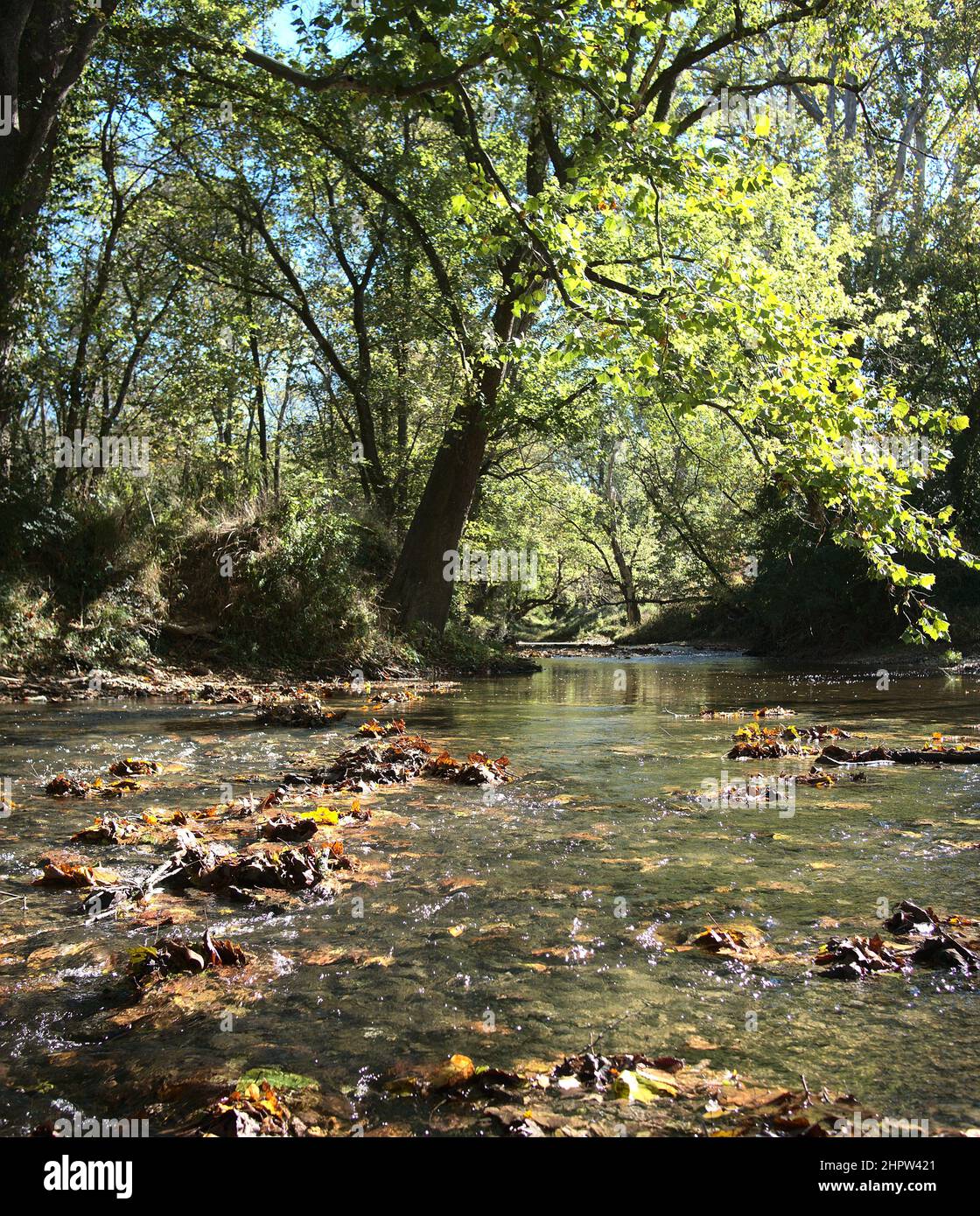 Pretty stream with path hi-res stock photography and images - Alamy