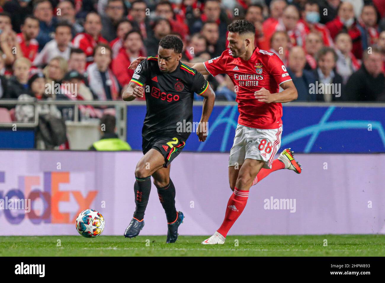 LISBON, PORTUGAL - FEBRUARY 23: Jurrien Timber of Ajax, Goncalo Ramos of SL Benfica during the UEFA Champions League match between SL Benfica and AFC Ajax at Estadio do SL Benfica on February 23, 2022 in Lisbon, Portugal (Photo by Peter Lous/Orange Pictures) Stock Photo