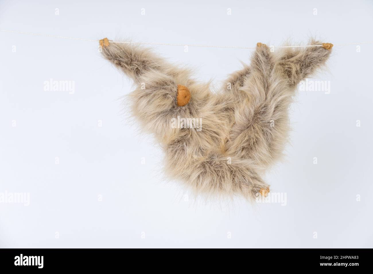 Stuffed animal Linnaeus's Two-toed Sloth hanging from a string Stock Photo