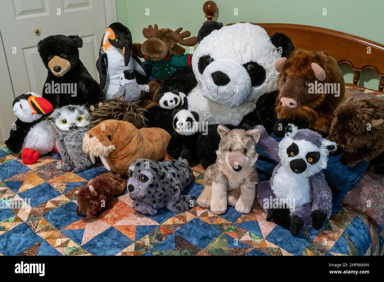 Portrait of a group of stuffed animals on a bed. Stock Photo