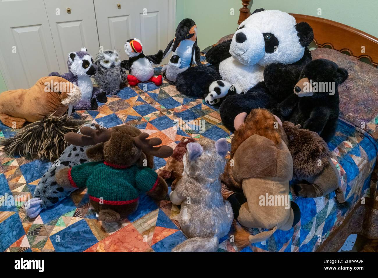 Stuffed animals gathered for story-telling time on a bed. Stock Photo
