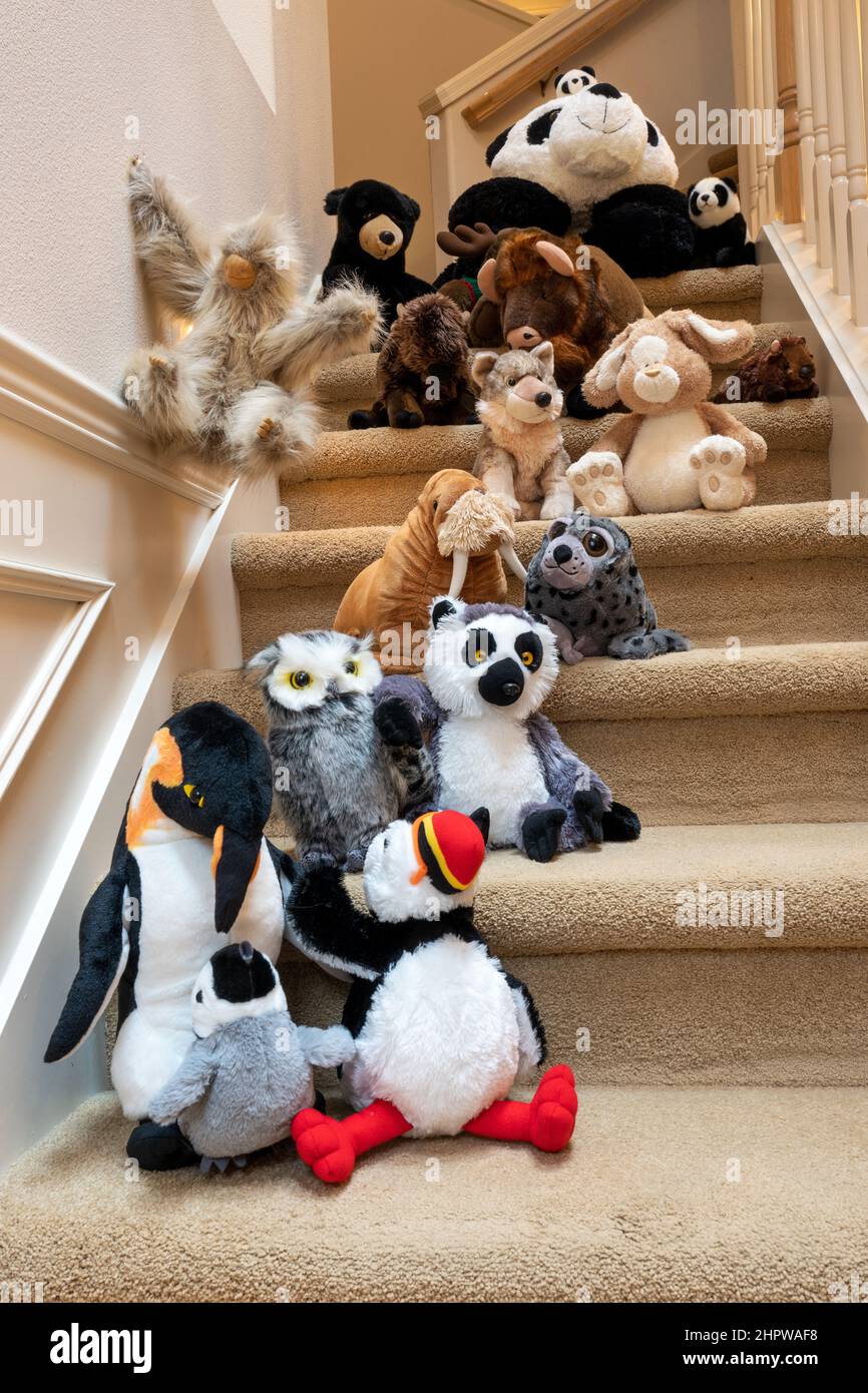 Stuffed animals walking two-by-two down a stairwell with their friend Stock Photo
