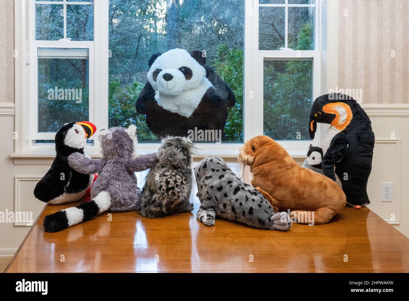 Stuffed animals staring out of a window at a giant panda bear looking in at them! Stock Photo