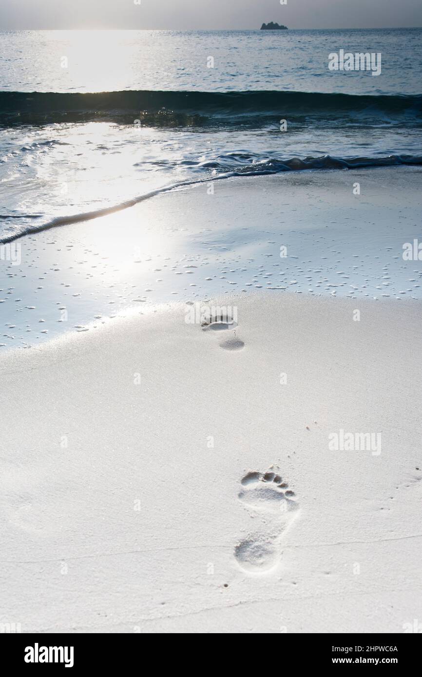 Human Adult Footprint In The Fine Sand At The Beach Stock Photo Alamy