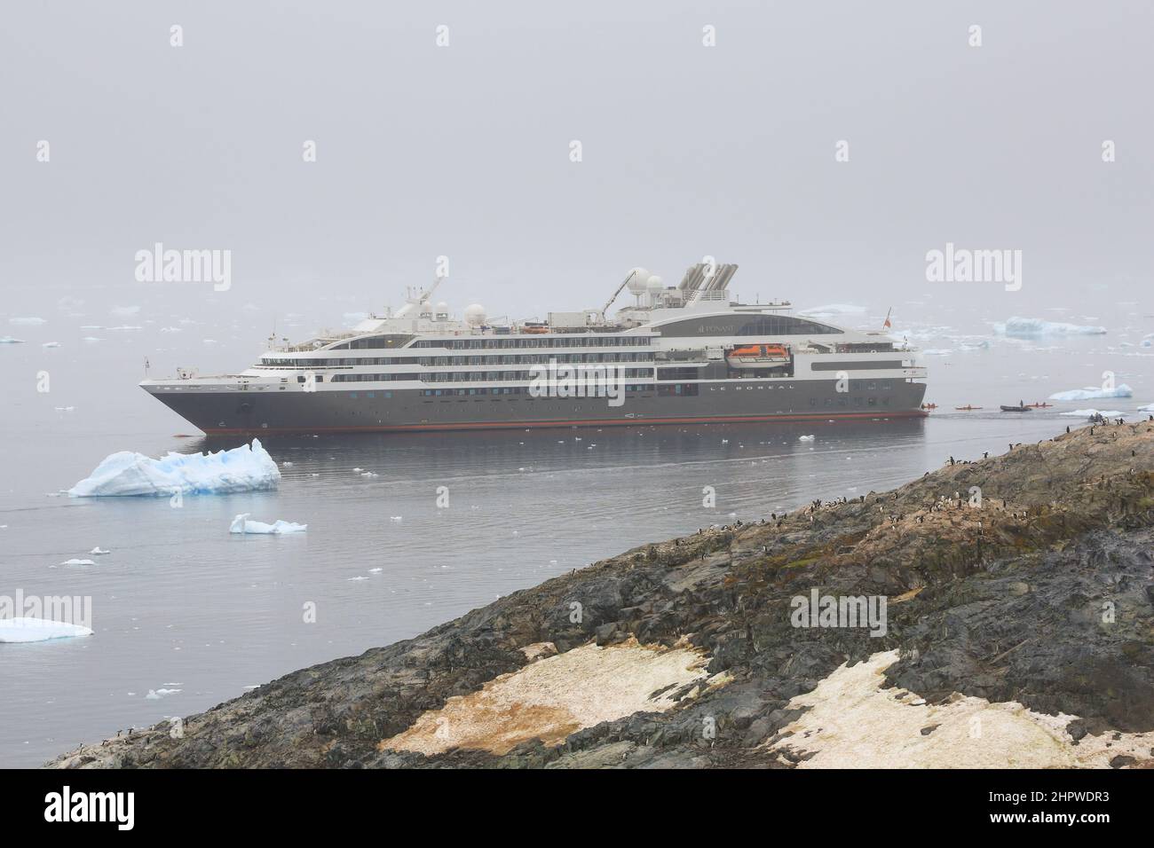 Gentoo penguin colony on Cuverville Island, Antarctica, with Le Boreal cruise ship in the background. Stock Photo