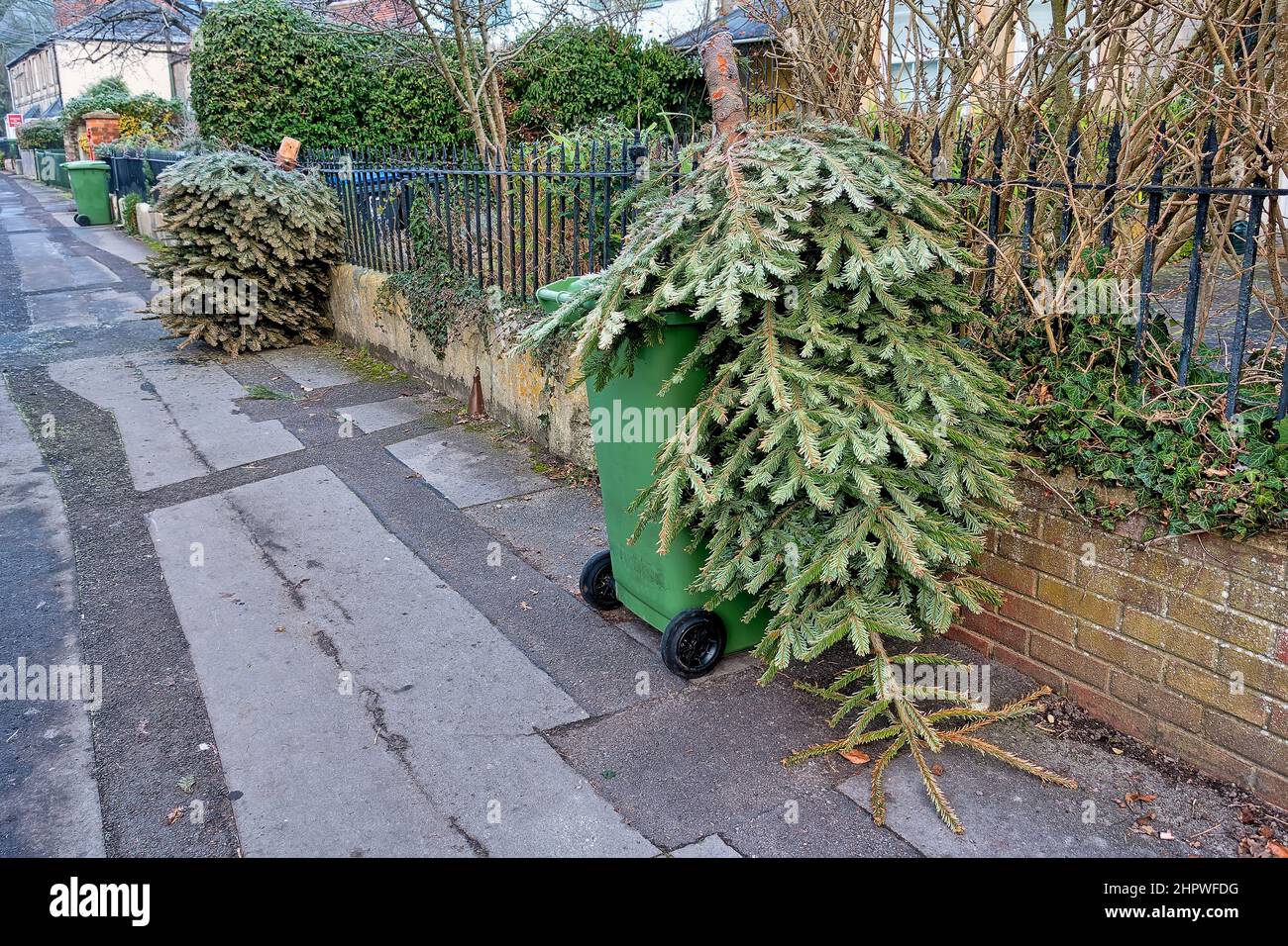Warminster, Wiltshire, UK January 18 2022 A row of Green Garden