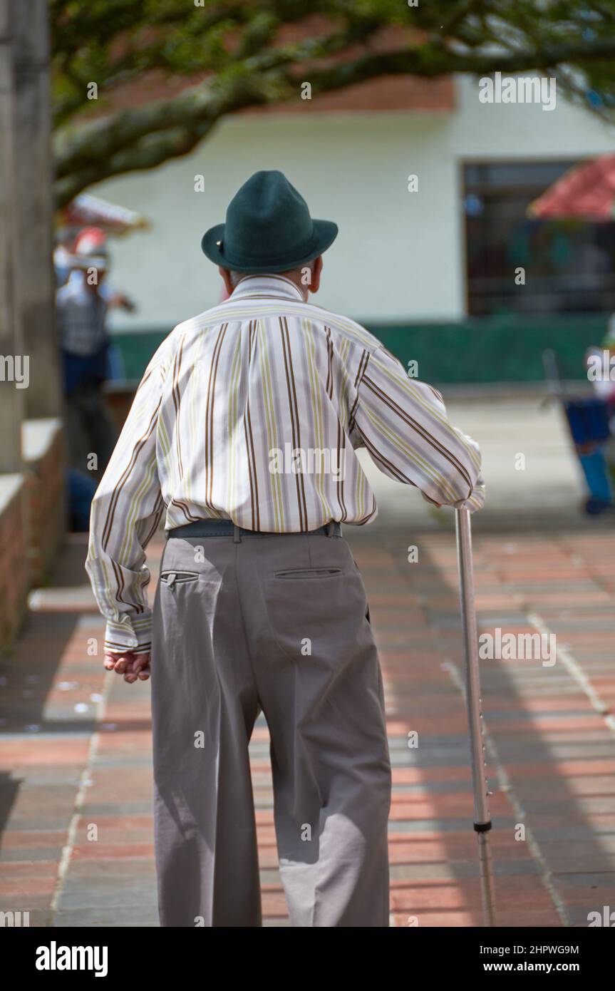 Back view of an elderly man walking on the pathway with a walking stick ...