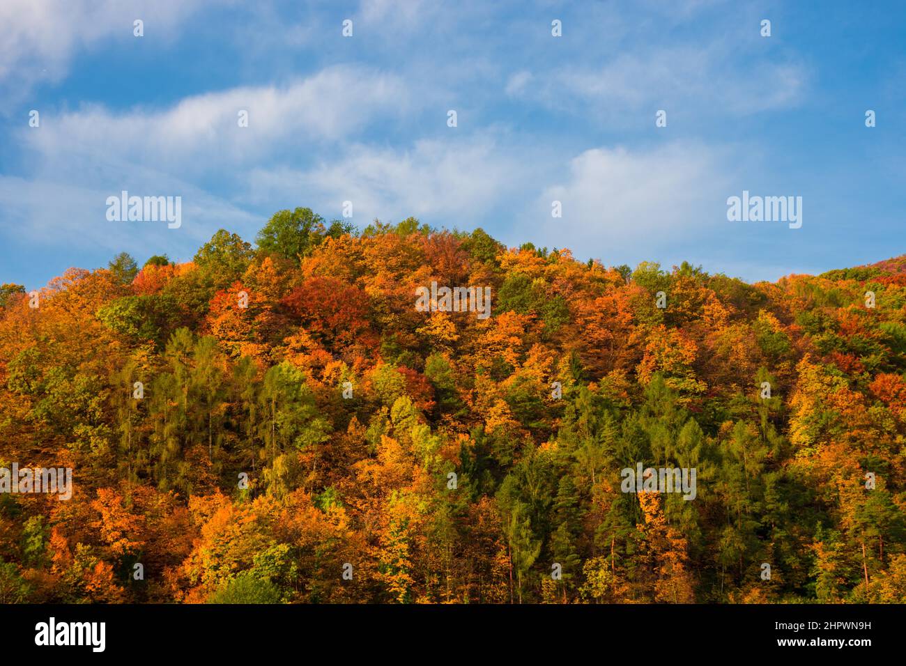 Sky blue trees colorful hi-res stock photography and images - Alamy