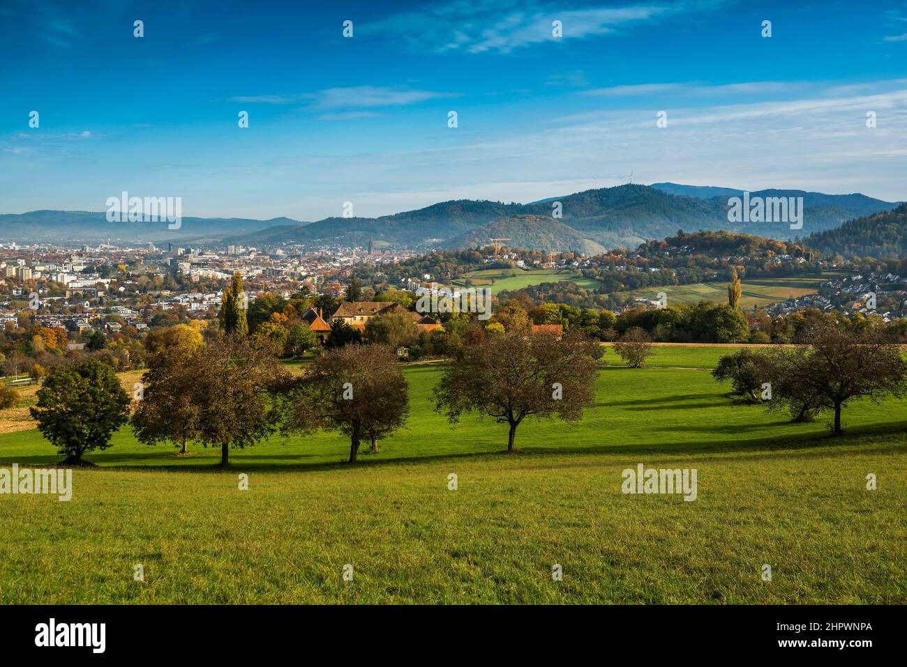stellenangebote in freiburg im breisgau
